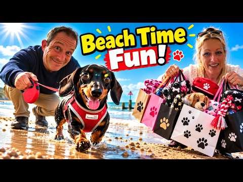 Oscar’s FIRST BIG BEACH DAY… How Would He React?! 🐾