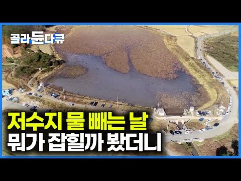 저수지 물 빼는 날은 곧 마을 잔칫날. 어마어마한 크기 저수지 물 전부 빼고 주민들이 하나둘 모이더니｜한국기행｜#골라듄다큐