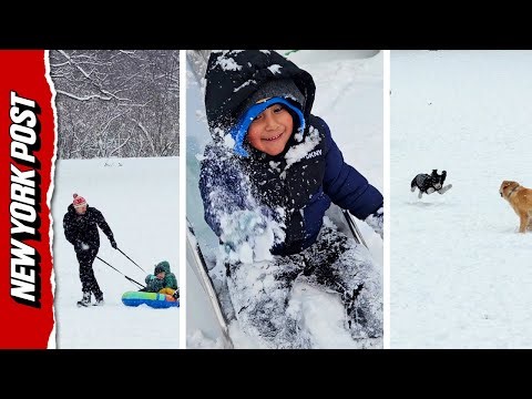 Snow Might Slow Travel, But it Can’t Keep These New Yorkers Down