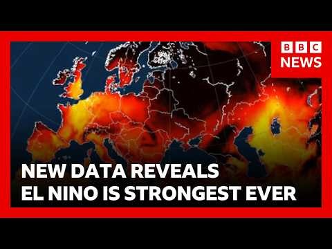 New data shows El Niño is strongest ever with major shift in global weather patterns | BBC News