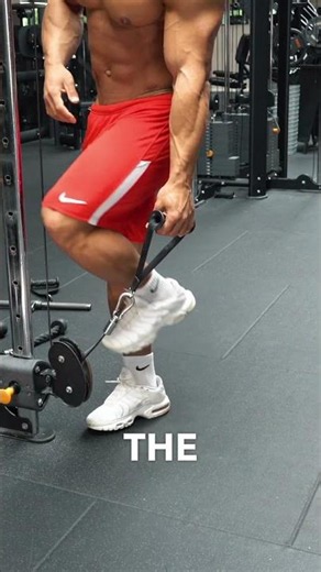 Physique Champion Ali Bilal recommended exercise for Rear Delts. Watch more of Ali in the link.