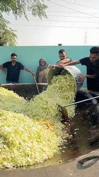 Cabbage In Big Kadai #shorts