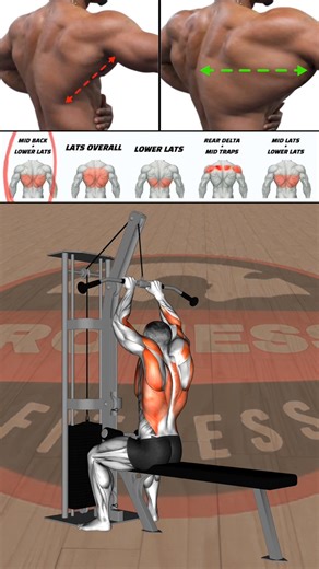 Complete Back Workout Designed to Build a Wide Back, Dense Upper Back, and Strong Posterior Chain #backworkout #latworkout #wideback #backthickness #backhypertrophy #bodybuilding #musclegrowth | Junior B Divenson Jean