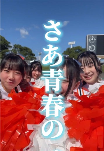 さぁ青春の、 体育祭 クラスで、色で、部活で、 出る人も応援も、 大盛り上がり！ 橘で青春、でしょ？ #常葉大学附属橘中学校高等学校 #常葉橘 #体育祭 #常葉大橘
