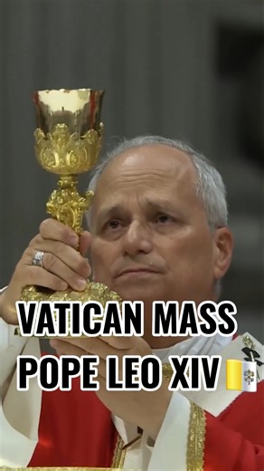 🇻🇦Pope Leo XIV leads a massive Mass at the Vatican #vatican #popeleoxiv #eucharist #eucaristia #fe