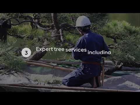 Tree Trimming Cost by Truco Services Inc