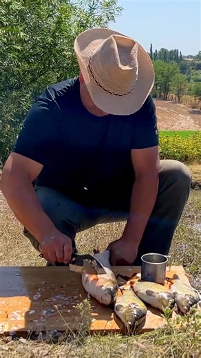 Fresh fish, salted and grilled over open fire, creating a juicy, smoky aroma. A favorite outdoor cooking method #GrilledFish #OpenFireCooking #OutdoorCooking #Cooking | Wilderness Grill