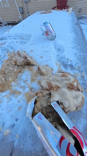 Watch Diet Coke cans explode in the cold. It took nearly three hours, but these Diet Coke cans eventually lost to the -15°F Wisconsin temperatures. RIP to our Diet Coke friends. | Enquirer - Cincinnati and Kentucky