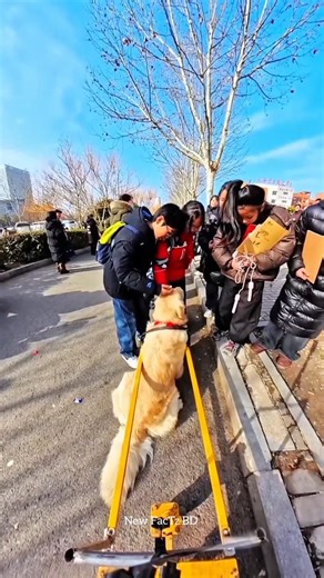 Crazy Prank Turns Bedroom Into Total Chaos 😂