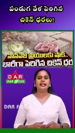 Chicken Prices Surge Ahead of Festivals: Skinless Chicken at ₹261 per Kg? | DAR FOCUS #darfocus