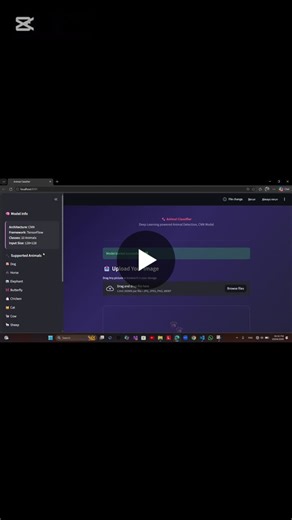 #deeplearning #machinelearning #tensorflow #cnn #computervision #python #streamlit #imageclassification #digitalimageprocessing #ai #studentproject | Ammar Jahangir