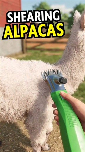 Shearing alpacas in FS25