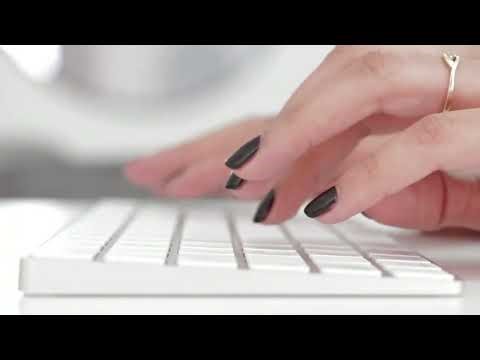 Zander Insurance App Pricing Explained What You Get for Your Money