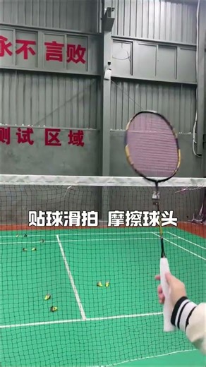 Master Online Learning & Badminton Skills