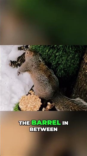 9mm EDgun Leshiy 2 vs Squirrel