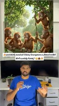 5 Baby Orangutans Found in India! 😳🦧 | How Did They Reach Odisha? #shorts #orangutan #nature