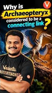 10th Science Archaeopteryx Connecting Link Between Reptiles & Birds #tnstateboard