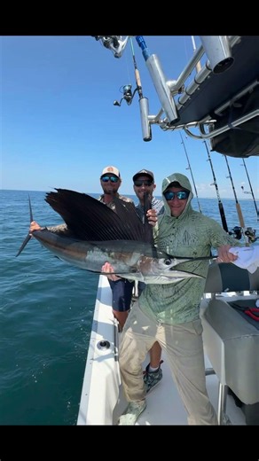 PLZ SUB!! #subscribe #fishing #sailfish