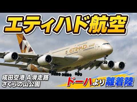 【4K】成田空港 さくらの山公園 エティハド航空 超巨大旅客機エアバスA380 ドーハより離着陸