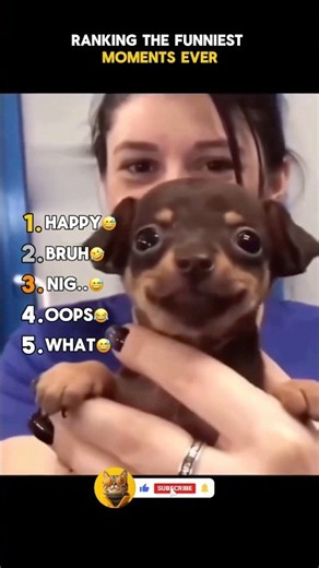 Ranking the Funniest Moments Ever 🤣 #funny #trynottolaugh