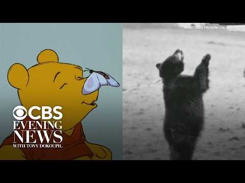The real story behind Winnie the Pooh, born in the shadow of WWI