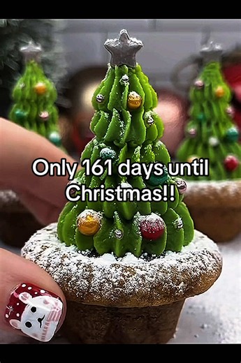 Only 24 Fridays to go!! || #christmas #christmastok #christmas2026 #christmascountdown #countdowntochristmas