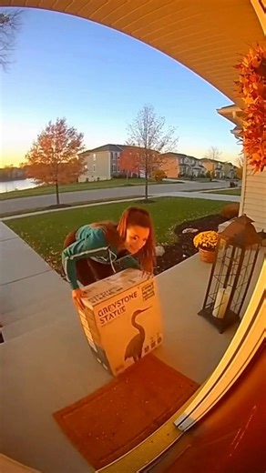 Garden Crane Statue heist ends in violet paint bomb prank 💥#karma #prank