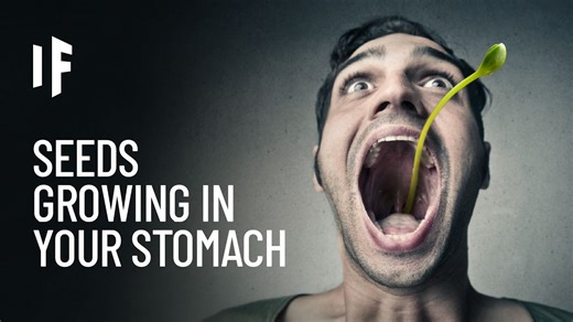 Imagine seeds beginning to grow inside the human stomach