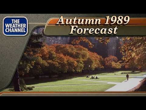 1989 AUTUMN WEATHER CHANNEL VAPORWAVE // Nostalgic Vaporwave & VHS Aesthetics