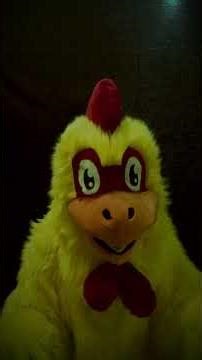 Cluck Encounters of the Bird Kind