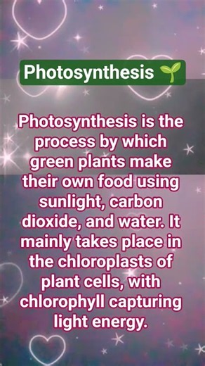 Photosynthesis 🌿☀️ | How Plants Make Their Food 🥑| Candid Go #LearnBiology#PhotosynthesisProcess