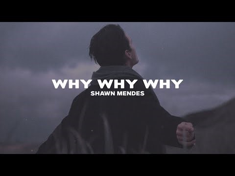 Shawn Mendes - Why Why Why (Lyrics)