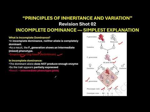 CBSE GRADE 12 Incomplete dominance, Snapdragon Principles of Inheritance and Variation 2