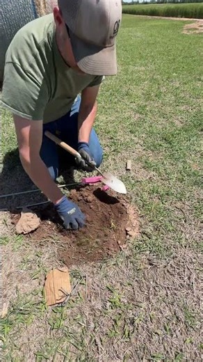 Most People Would Walk Past This… (Big Mistake). #pestcontrol #trapping #gophers