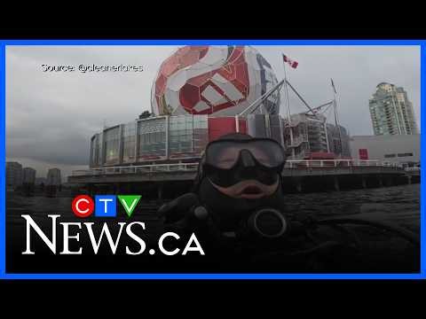 B.C. diver in search of lost phones