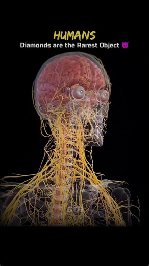 Humans vs Rarest Things 💀🗿 #Shorts #Space #Astronomy #Universe #Earth #Biology