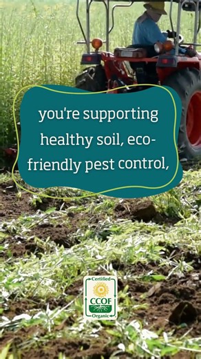 Is USDA organic worth it?