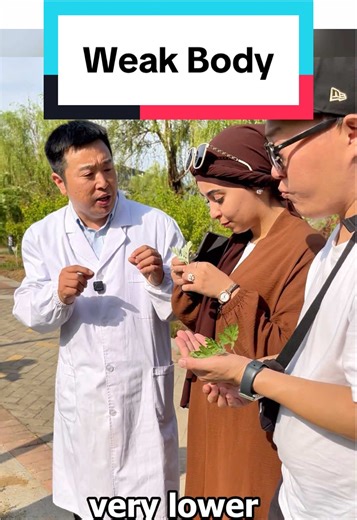 this #mugwort is natural #herb can strengthen your body！#holistichealth #medecine #foryou