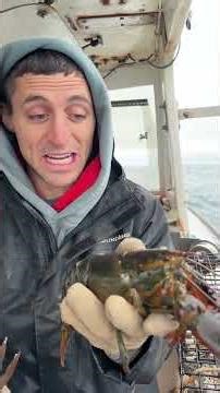 Barnacle clean up ASMR