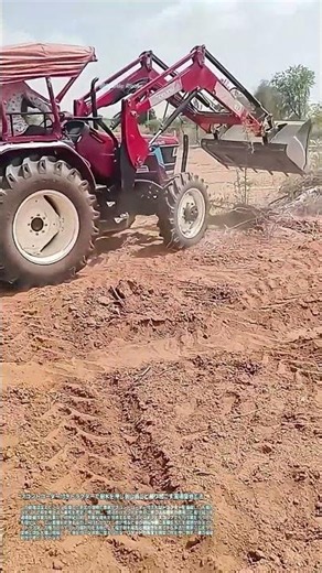 フロントローダー付きトラクターで樹木を押し倒し根ごと掘り起こす圃場整地工法