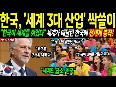 "한국이 멈추면 세계가 멈춘다" 옥스퍼드 교수의 충격 예측ㅣ해외감동사연