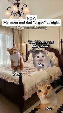 Cat meme Comedy😺My mom and dad argue at night #catmemes #relatable #relationship