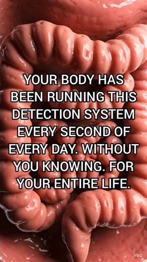 Your Gut Can Sense Parasites And Sends An Emergency Signal To Your Brain. 😱