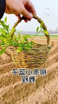 Master Willow Basket Weaving for Kids ✨ Traditional Handmade Craft Tutorial