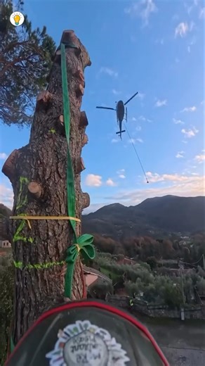 Heli Logging 😱🌲