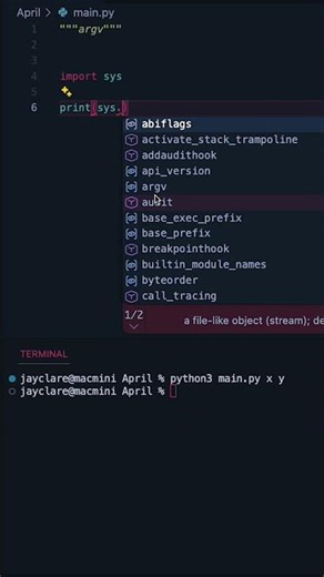 Python 3 | How does Argv work? #programming #python