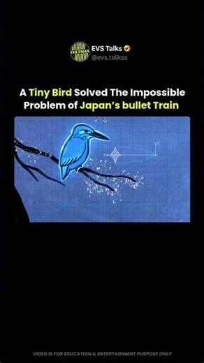 A Tiny Bird Fixed Japan’s Bullet Train 😳🚄🐦