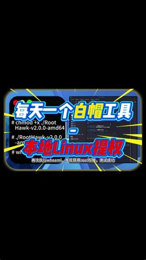 本地Linux提权 工具 挖洞工具分享 白帽子 网络安全 #开源 #网络安全 #黑客 #白帽黑客 #提权