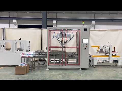 Bag packs spider robot pickup feeding case packer line