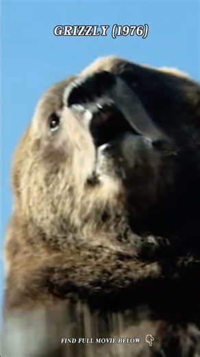 18 feet of gut-crunching, man-eating terror! | Grizzly (1976)